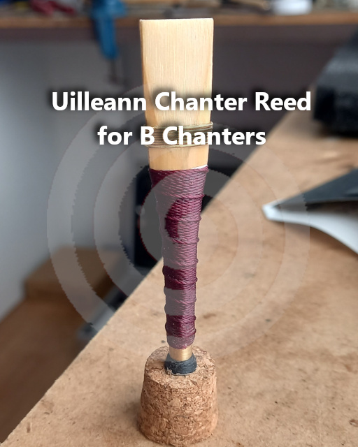 Ir al art&iacute;culo...